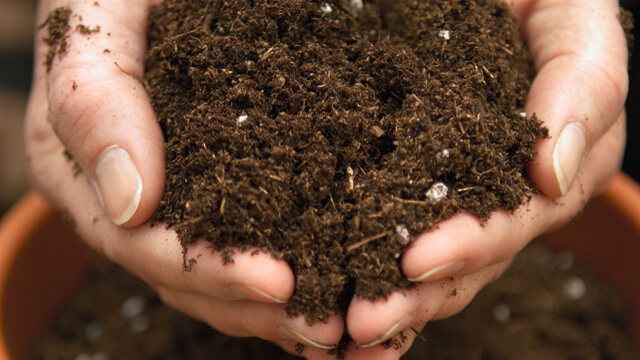 Fertilizers 640x360