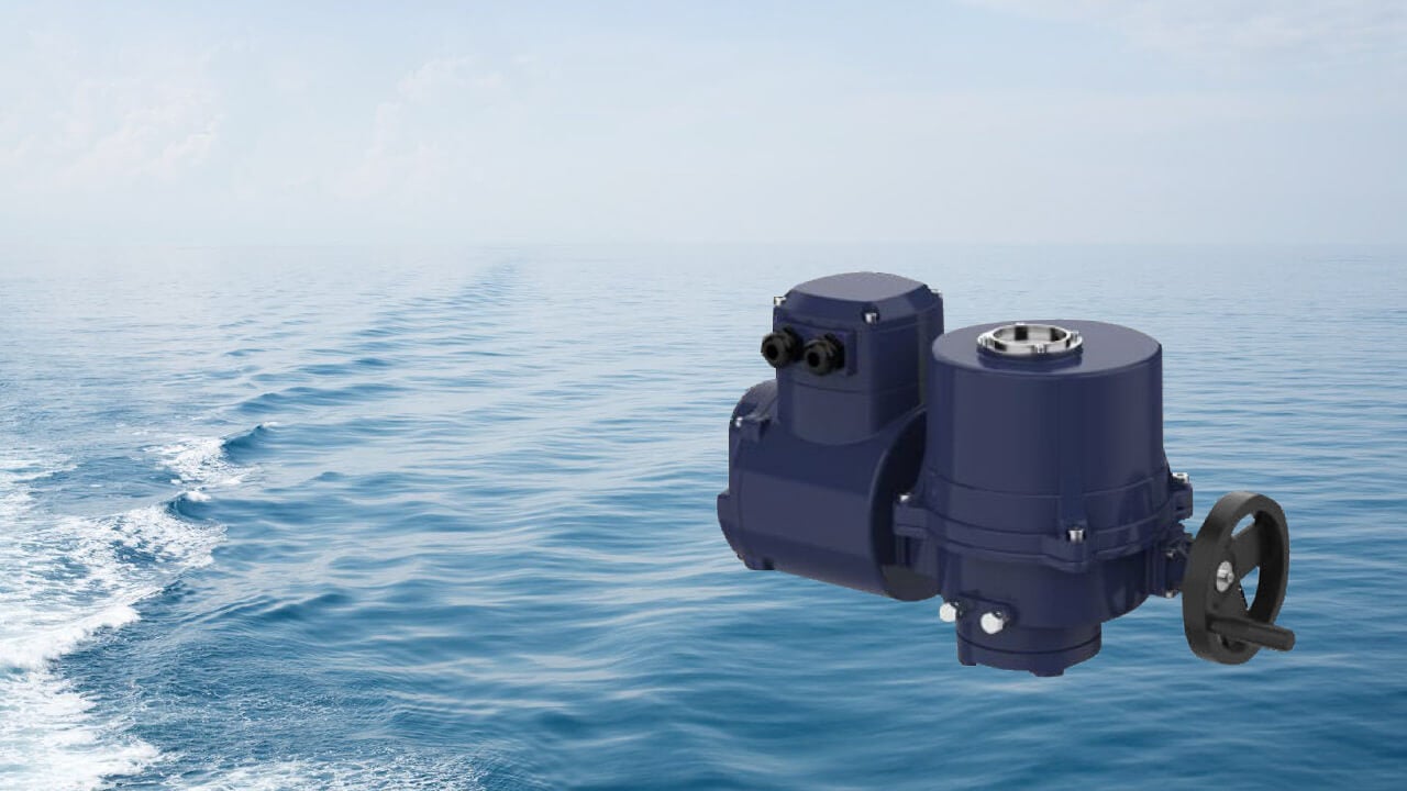 PureBallast valve for flow control in the ballast water management system